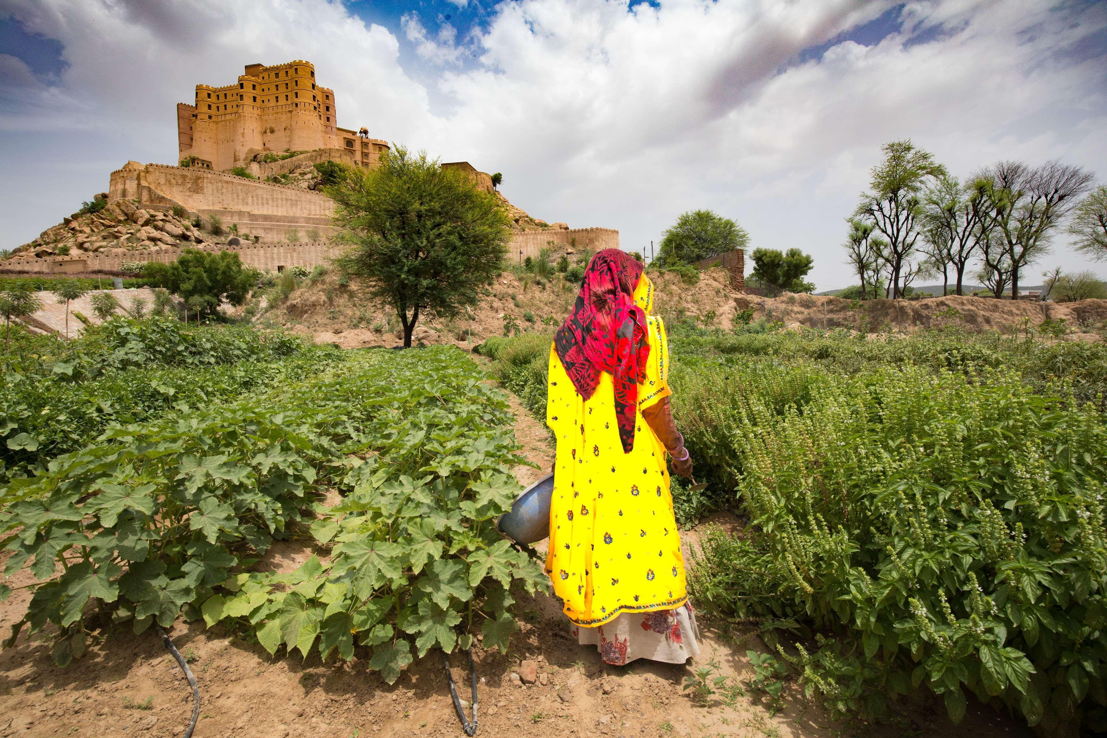 Alila Fort Bishangarh Jaipur - A Hyatt Brand Ngoại thất bức ảnh